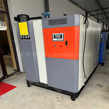 燃氣D級蒸汽鍋爐